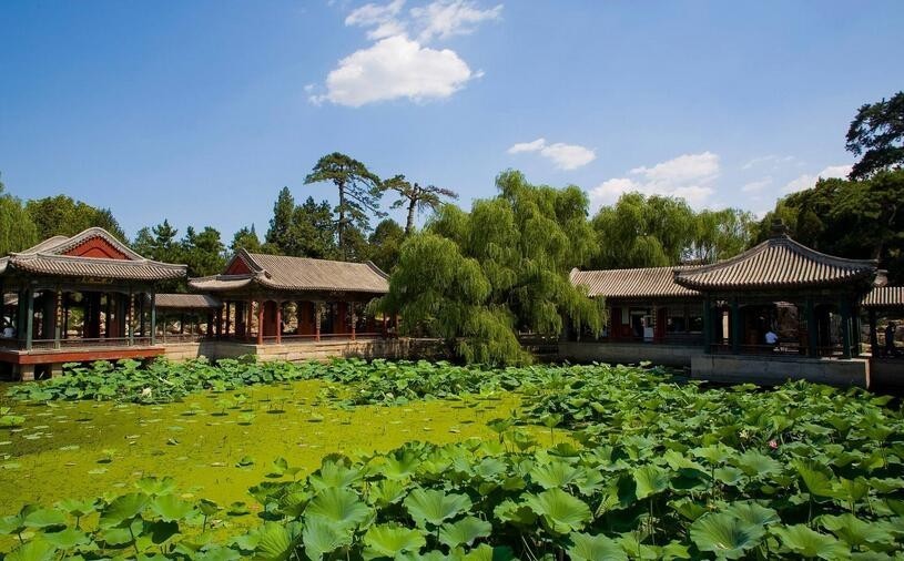 2017年这九笔收入将打入你的账户 请注意查收