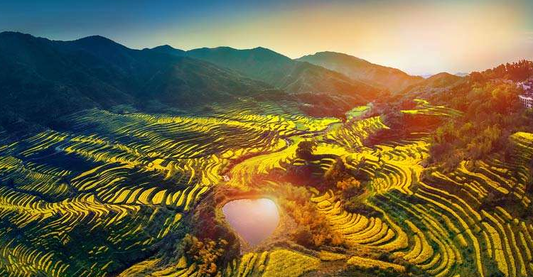 江西婺源迎来踏青潮