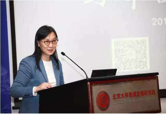 北京大学国家发展研究院管理学教授陈春花