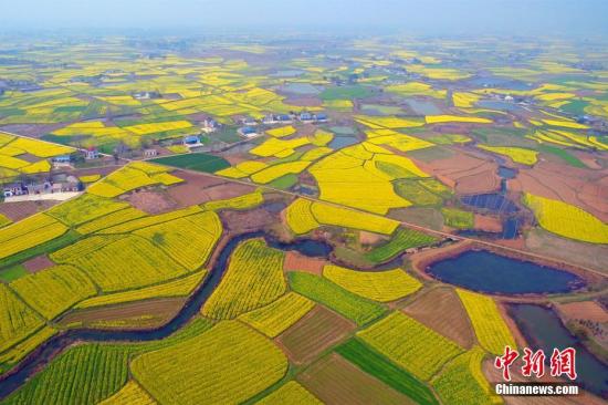 农业部加快制定农兽药残留、转基因等国家标准