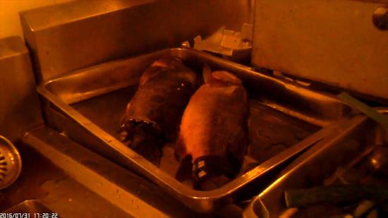 媒体卧底知名餐饮店:用扫把洗锅臭鱼冒充活桂鱼