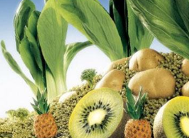 &ldquo;史上最严&rdquo;的食品安全地方法规上海正式实施