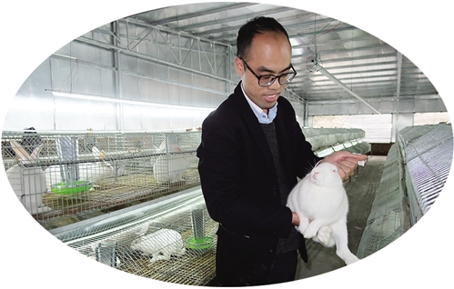 IT男变养兔郎：返乡创业很有前途，我选对路了