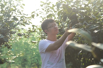 大学生回乡直播种桃 &ldquo;桃子哥&rdquo;带富家乡农民
