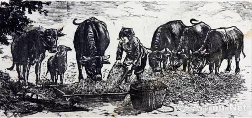 《耕前》 1985年 中国美术馆藏