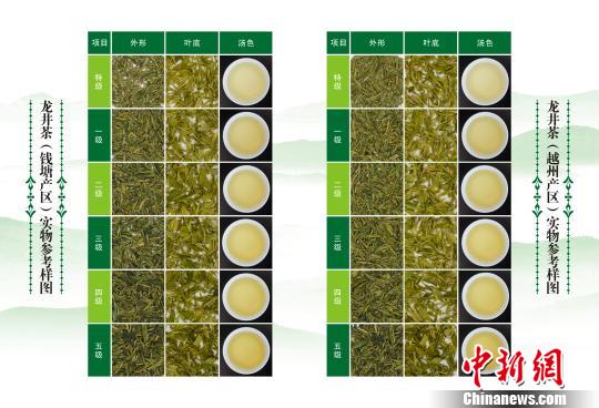浙江首次发布龙井茶实物参考样 促品牌管理标准化