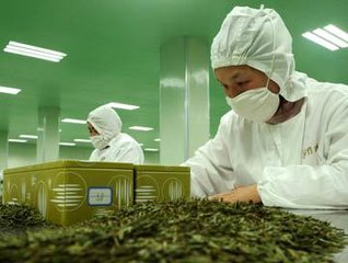 四川乐山：农业供给侧改革催热&ldquo;川茶品牌&rdquo;