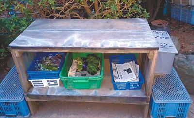 健全信用体系，让“老赖”无处遁形（记者观察）