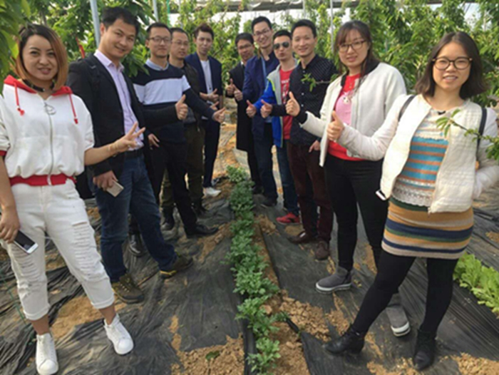 重庆80后男孩从退伍军人到新农人的蜕变