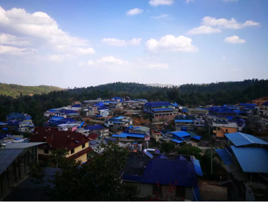 匠心茶人何宝强：我的每一片茶叶会说话