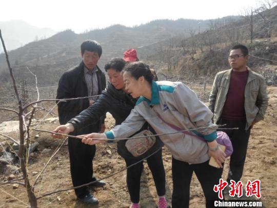 太行&ldquo;愚公&rdquo;之妻郭素萍续写&ldquo;愚公&rdquo;新篇章（图）