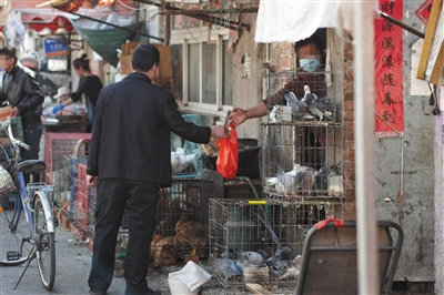 北京：个别摊贩农贸市场附近现杀活禽出售