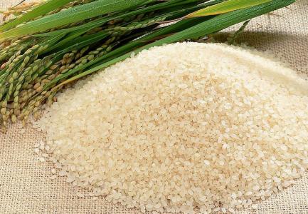 专家解答&ldquo;食米&rdquo;误区