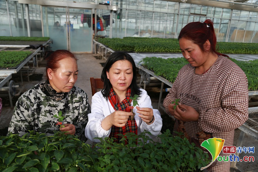 郭青云：30年初心不改　驻扎高原倾尽心力做科研