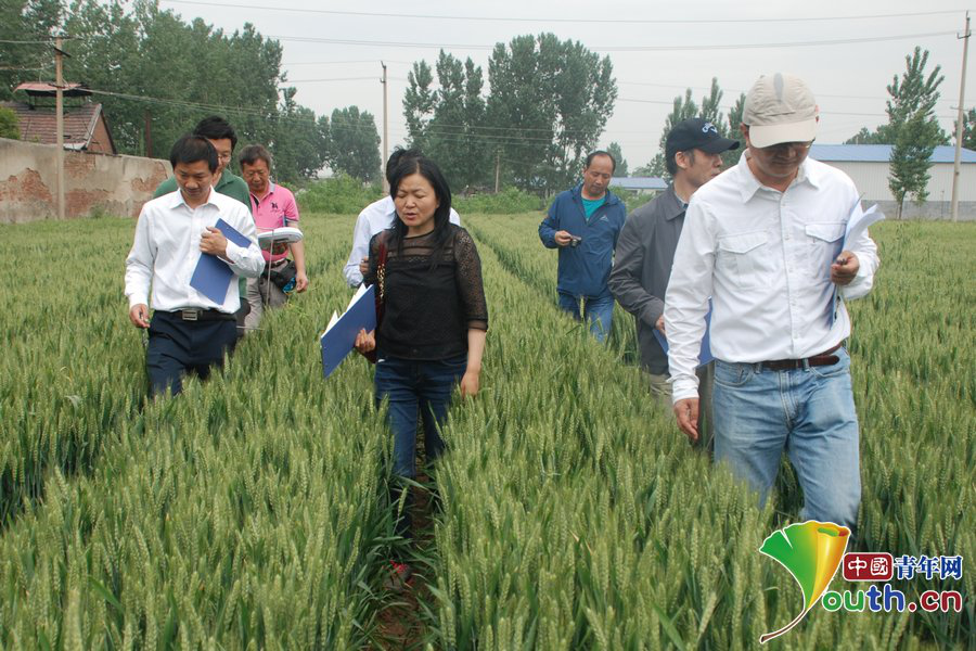 郭青云：30年初心不改　驻扎高原倾尽心力做科研