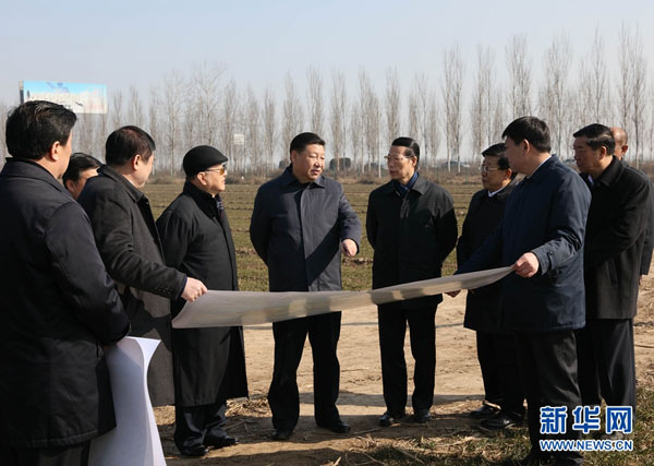 千年大计、国家大事--以习近平同志为核心的党中央