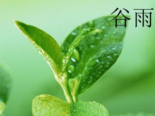 20日&ldquo;谷雨&rdquo;：暮春夏将至，养肝抑&ldquo;春火&rdquo;