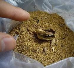 早餐店为提鲜胡辣汤加罂粟粉 店老板全家获刑