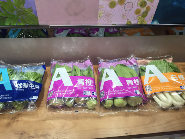 “优雅蔬菜”诞生记：访全球最大植物工厂