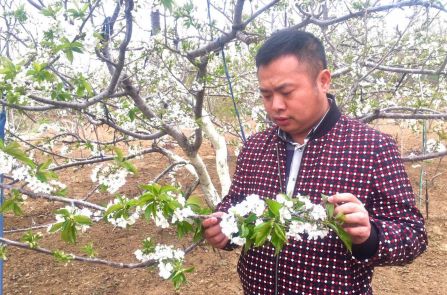 &ldquo;星农人&rdquo;江平：拼多多+地标水果=月销上千万元