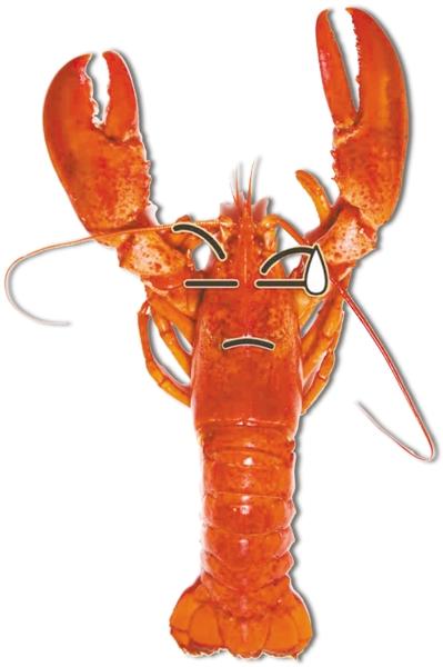 网红皮皮虾被黑 盘点总是躺枪的那些海鲜