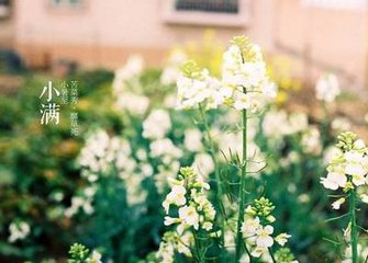 21日4时31分迎&ldquo;小满&rdquo; 炎夏开始注意防暑降温