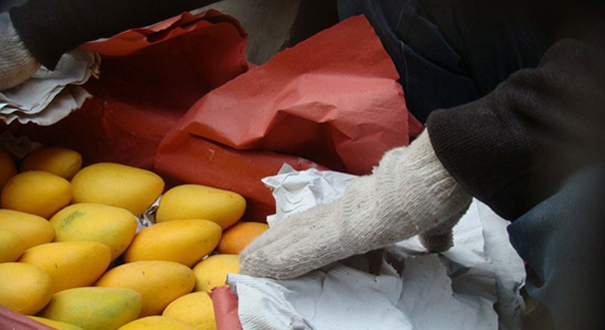 买一箱芒果25斤纸占9斤多 商家：赚的就是这些纸