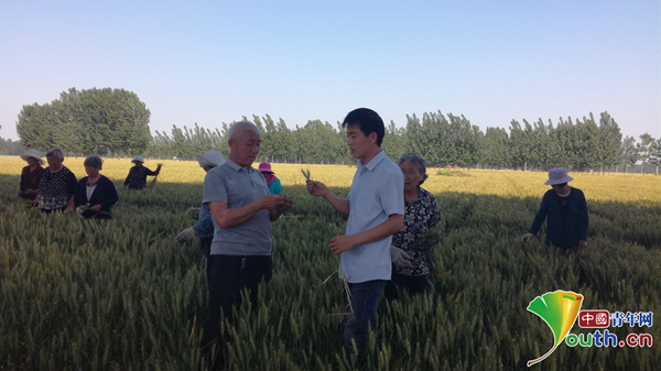 全国优秀共青团干部范军华：扎根黄土地 带领村民共走致富路