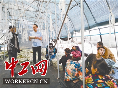 彭君：&ldquo;回农村，干大事！&rdquo;