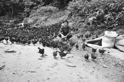 邓水木：给自己找一个梦想 开启幸福模式