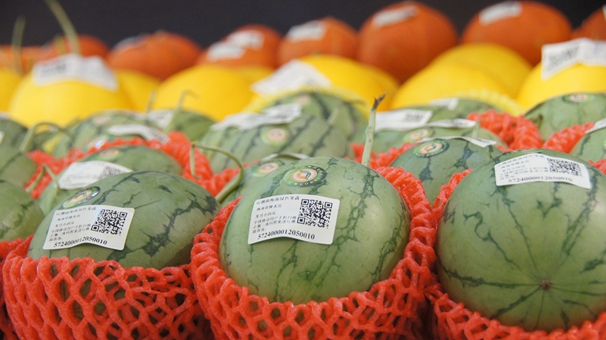 二维码让农产品&ldquo;开口说话&rdquo; &ldquo;说&rdquo;的话靠谱吗？