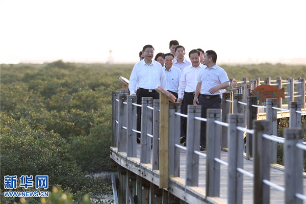 十八大以来，习近平反复强调&ldquo;绿水青山&rdquo;