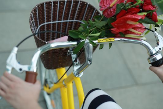 ofo上线公主车：为女性量身定做“拍照神器”