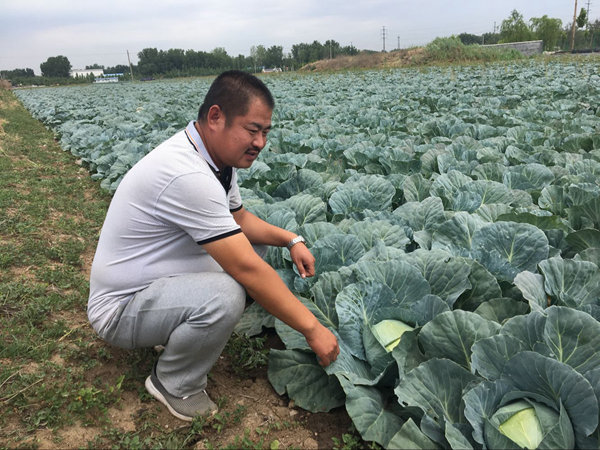 检验检疫10年磨剑　山东成为我国首个出口食品农产品质量安全示范省