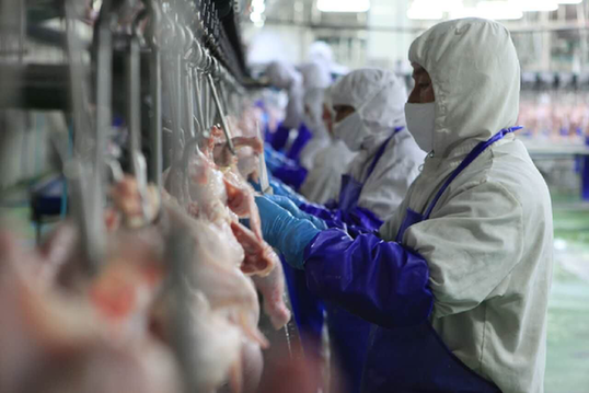 检验检疫10年磨剑　山东成为我国首个出口食品农产品质量安全示范省