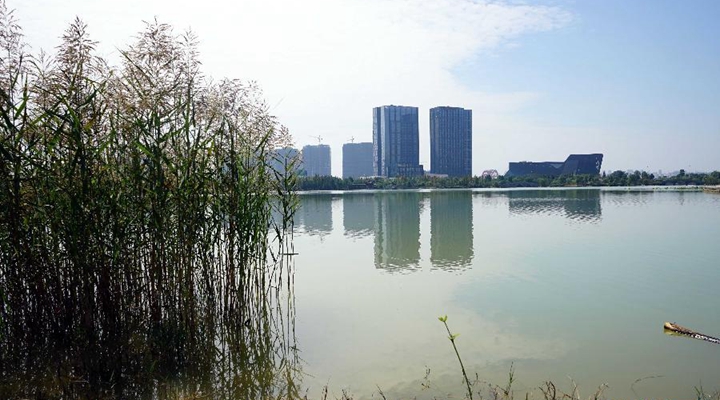 “海绵城市”：让城市更加自然地“呼吸”