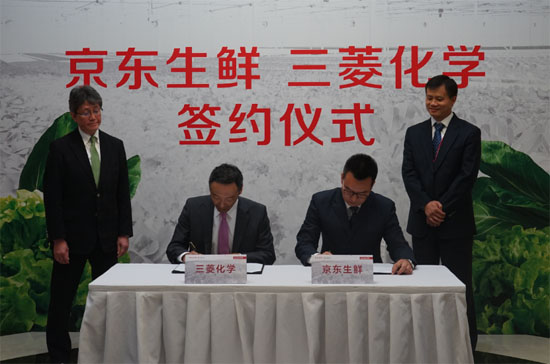 京东生鲜独家推水培蔬菜 定义高端蔬菜品质标准