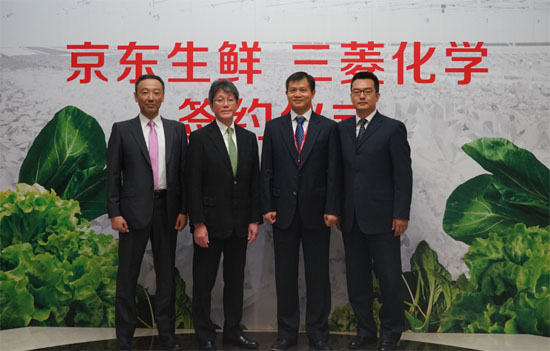 京东生鲜独家推水培蔬菜 定义高端蔬菜品质标准