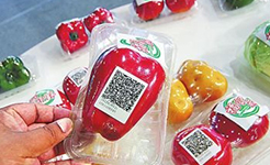 让食品追溯体系守护&ldquo;舌尖安全&rdquo;