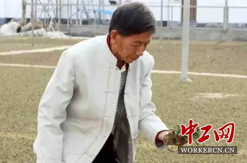 劳模戎加升：用本分匠心 铸就传世茶魂