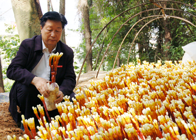 他用&ldquo;一棵草&rdquo;带给上百个国家农民脱贫梦