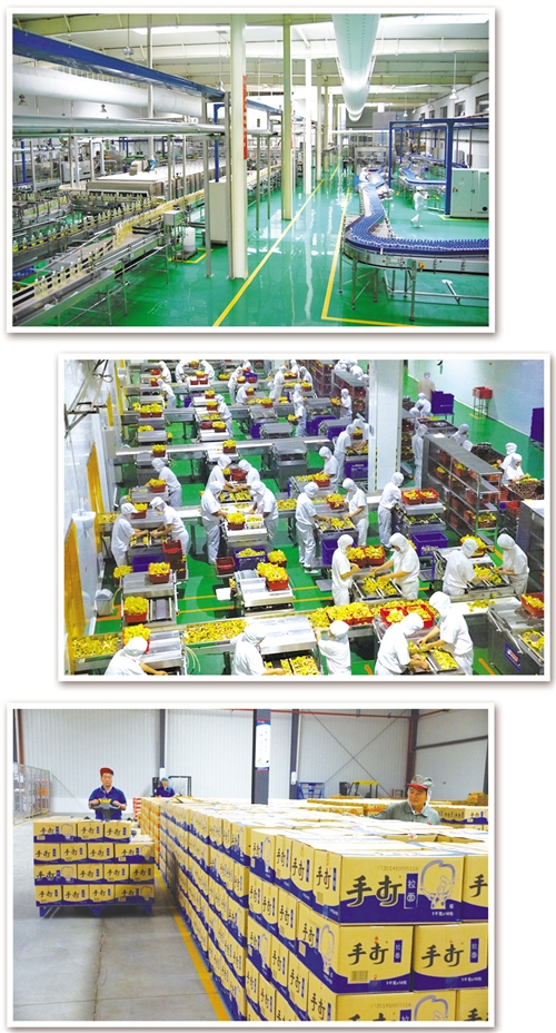 今麦郎豪言：今年“再造一个自己”