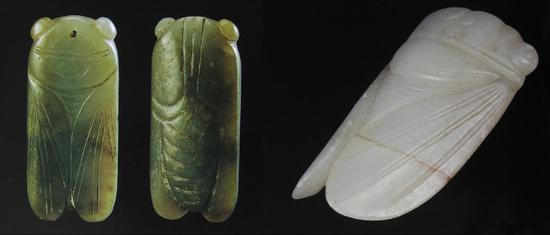 蝉鸣时节说玉蝉：生命延续的象征