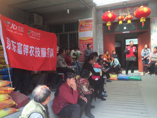 共育致富果:京东富钾农技服务队扎根陕西扶贫