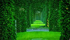 动车推互联网订餐 可选社会品牌