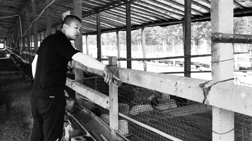 董轩：煮一锅清汤羊肉去众筹