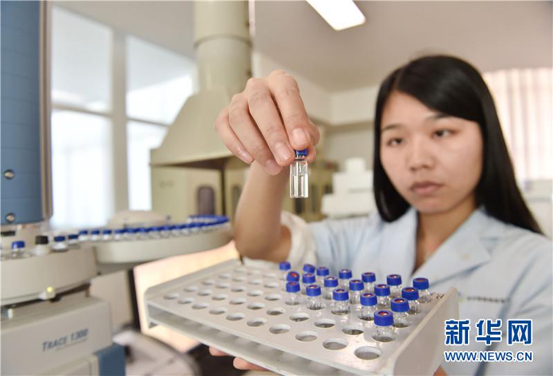 福建安溪茶:“一带一路”上飘香的中国符号