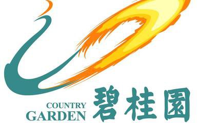 碧桂园入选财富世界500强