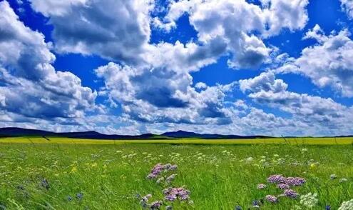 刘少华佳作 / 赞歌献给内蒙古