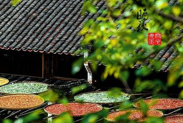 立秋了，凉风还会远吗？